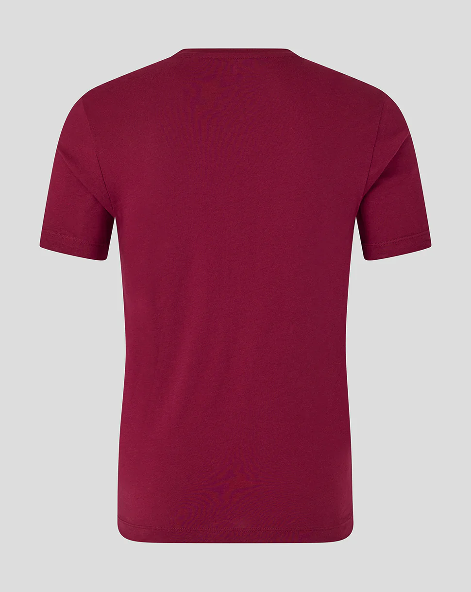 England Cricket Unisex 25/26 Essentials Ashes T-Shirt - Burgundy - Image 2