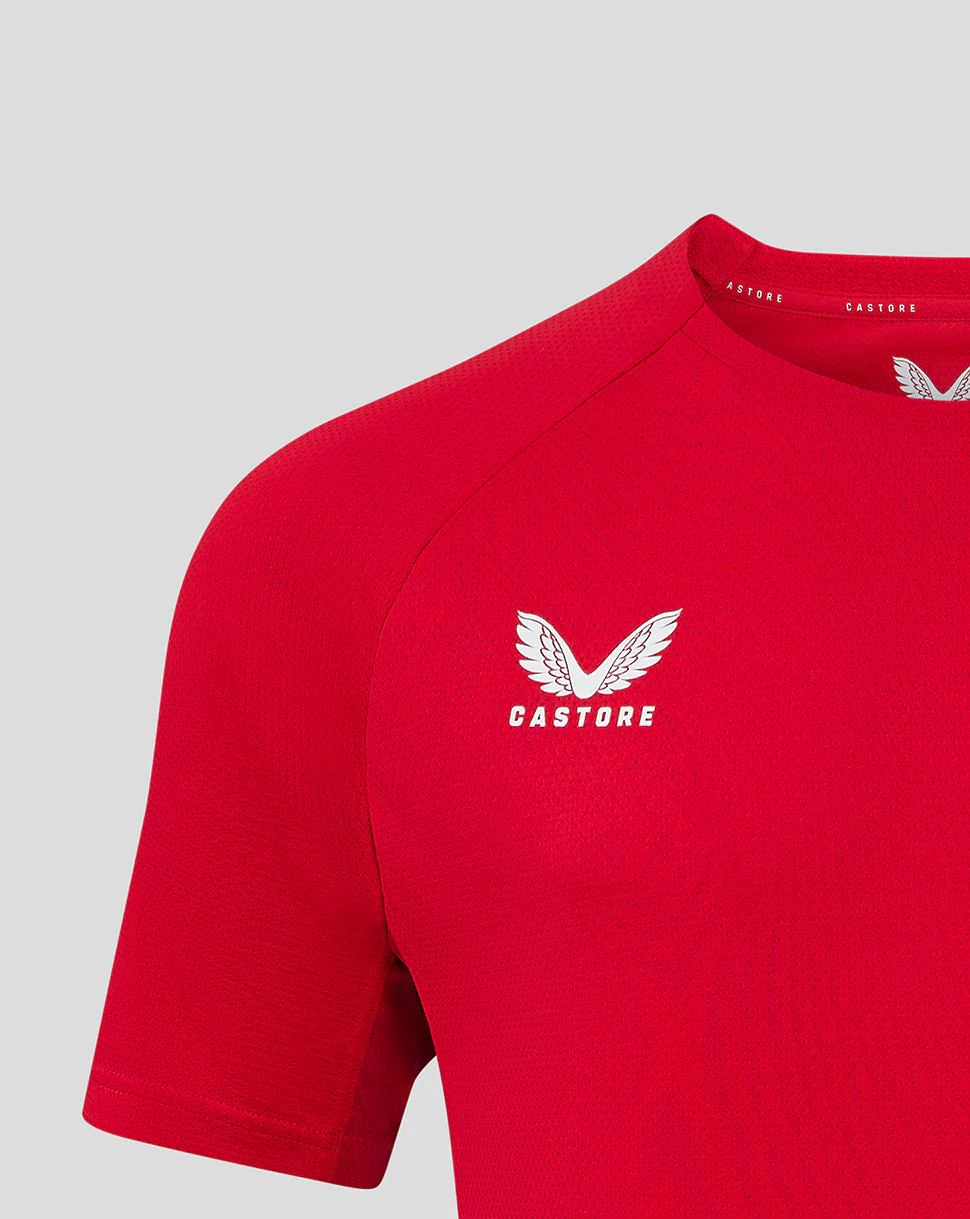Scarlets Men's 24/25 Pro Players T-Shirt - Image 3